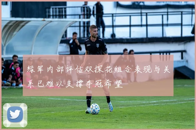绿军内部评估双探花组合表现与关系已难以支撑夺冠希望